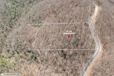 C46 Roaming Road Glenville NC 28736