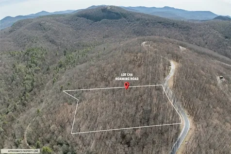 C46 Roaming Road Glenville NC 28736