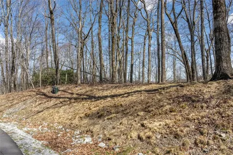 C46 Roaming Road Glenville NC 28736