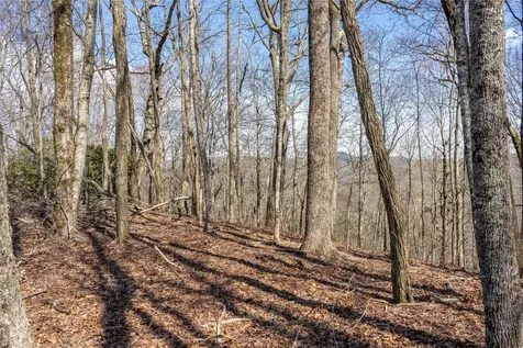 C46 Roaming Road Glenville NC 28736