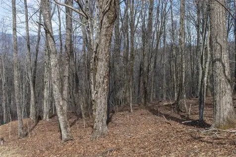 C46 Roaming Road Glenville NC 28736