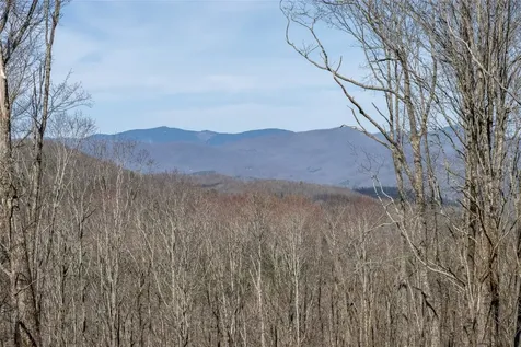 C46 Roaming Road Glenville NC 28736