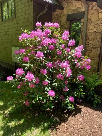 355 Doghobble Road Lake Toxaway NC 28747