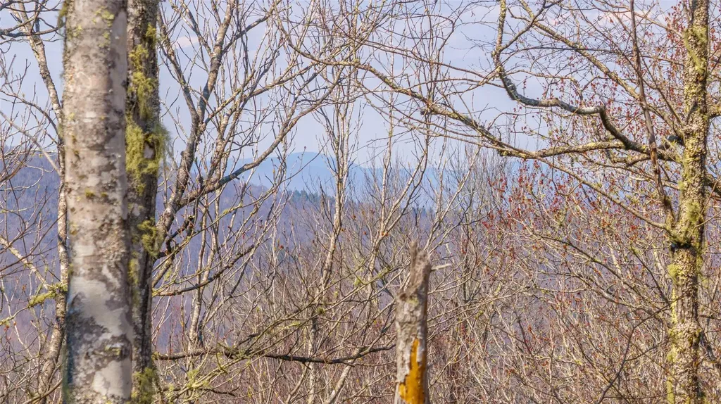 Tbd Springwater Road Cashiers NC 28717