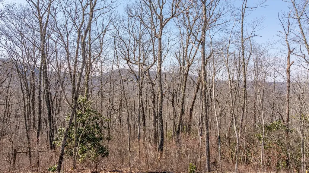 Tbd Springwater Road Cashiers NC 28717