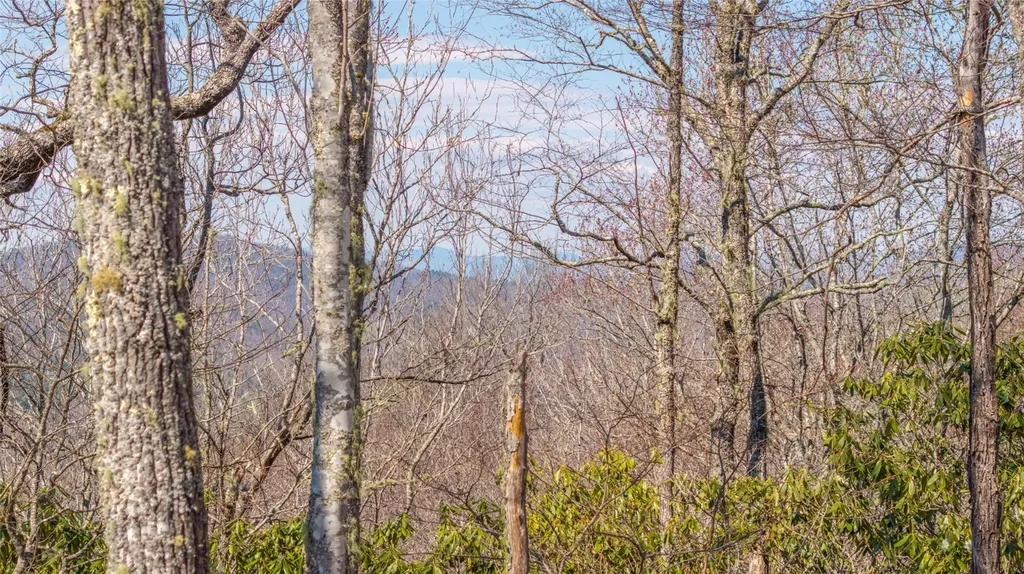 Tbd Springwater Road Cashiers NC 28717