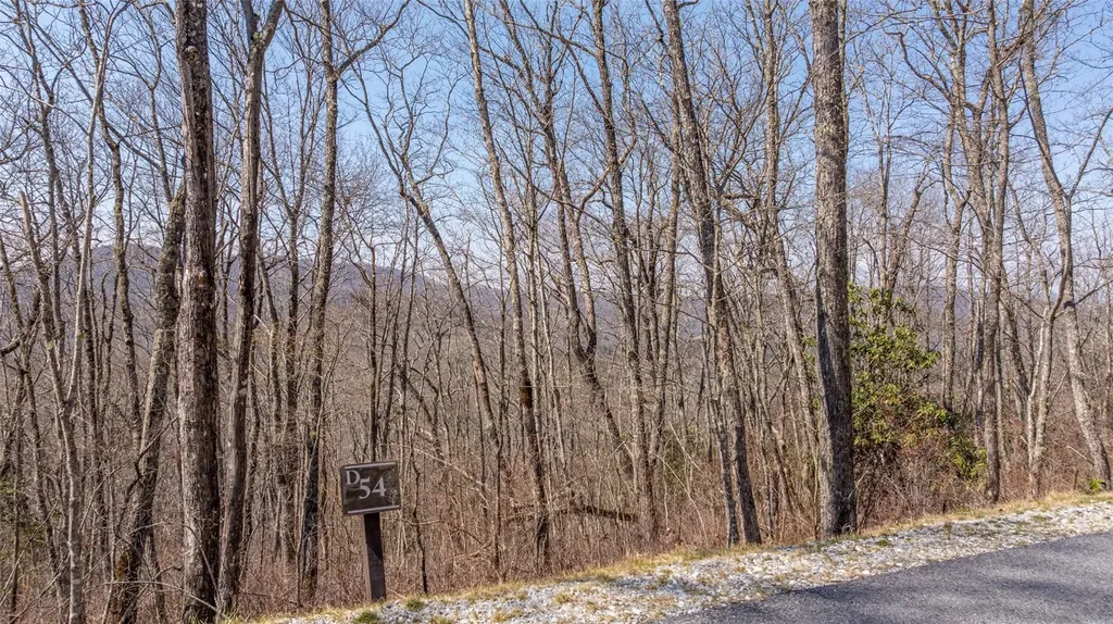 Tbd Springwater Road Cashiers NC 28717