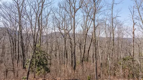 Tbd Springwater Road Cashiers NC 28717