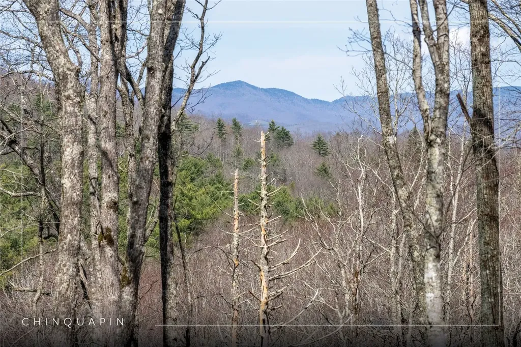 C20 Roaming Road Glenville NC 28736