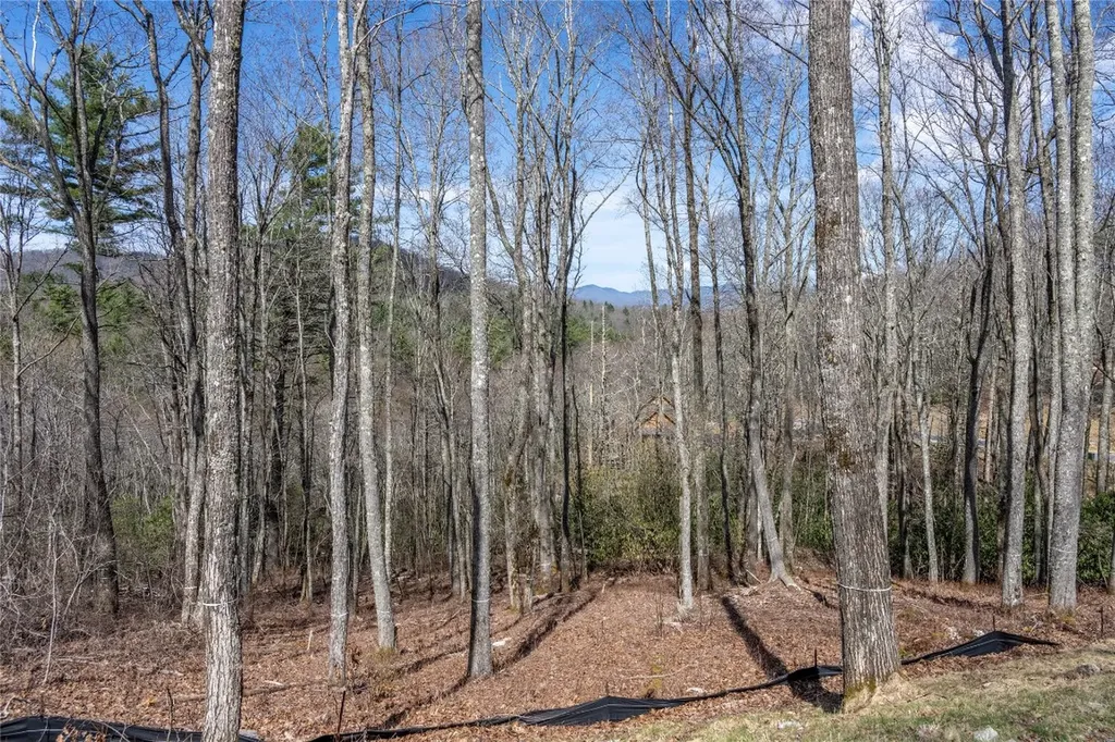 C20 Roaming Road Glenville NC 28736