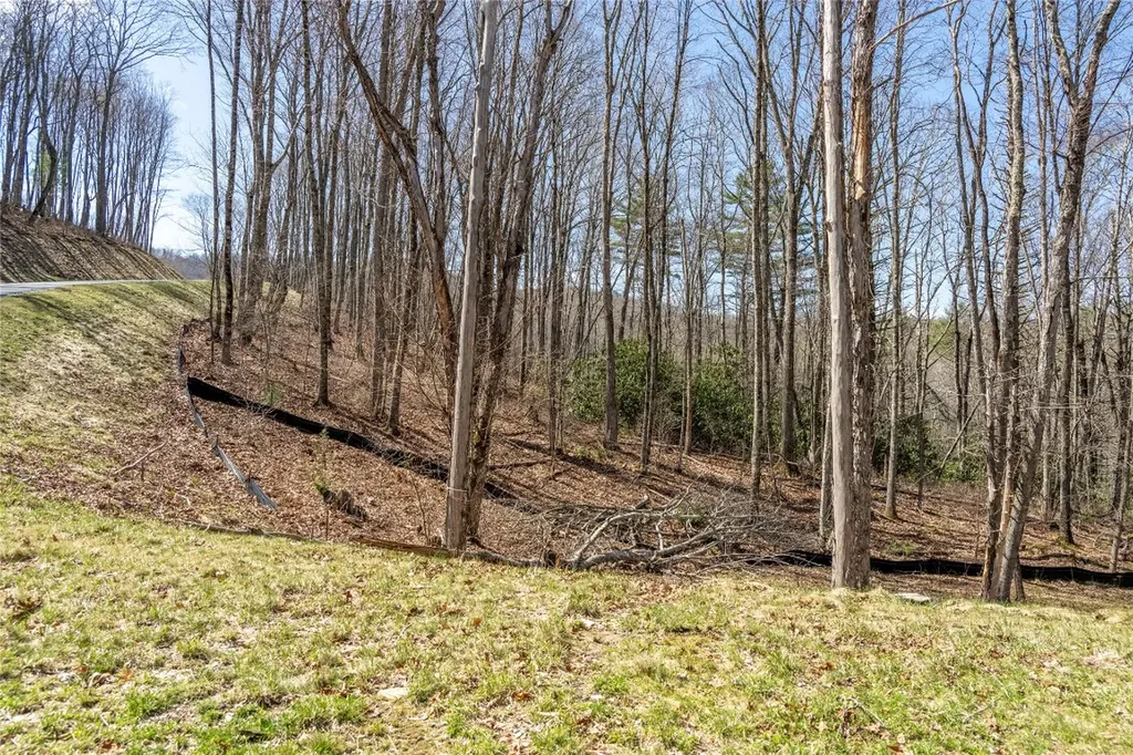 C20 Roaming Road Glenville NC 28736