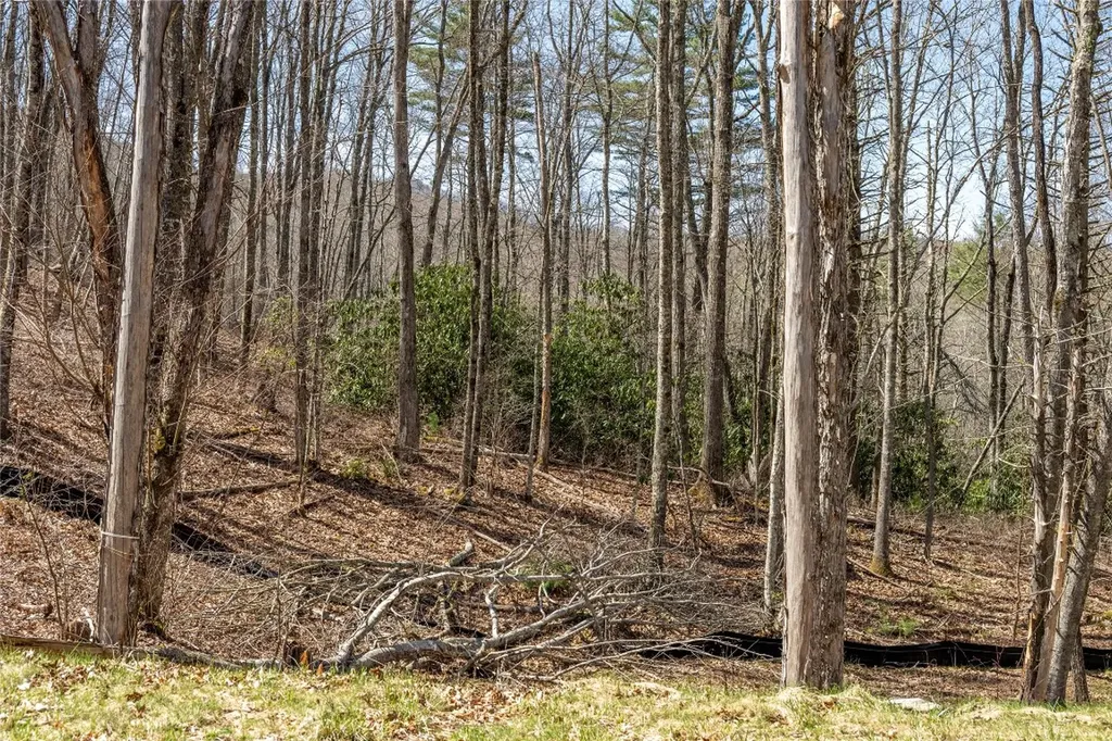 C20 Roaming Road Glenville NC 28736