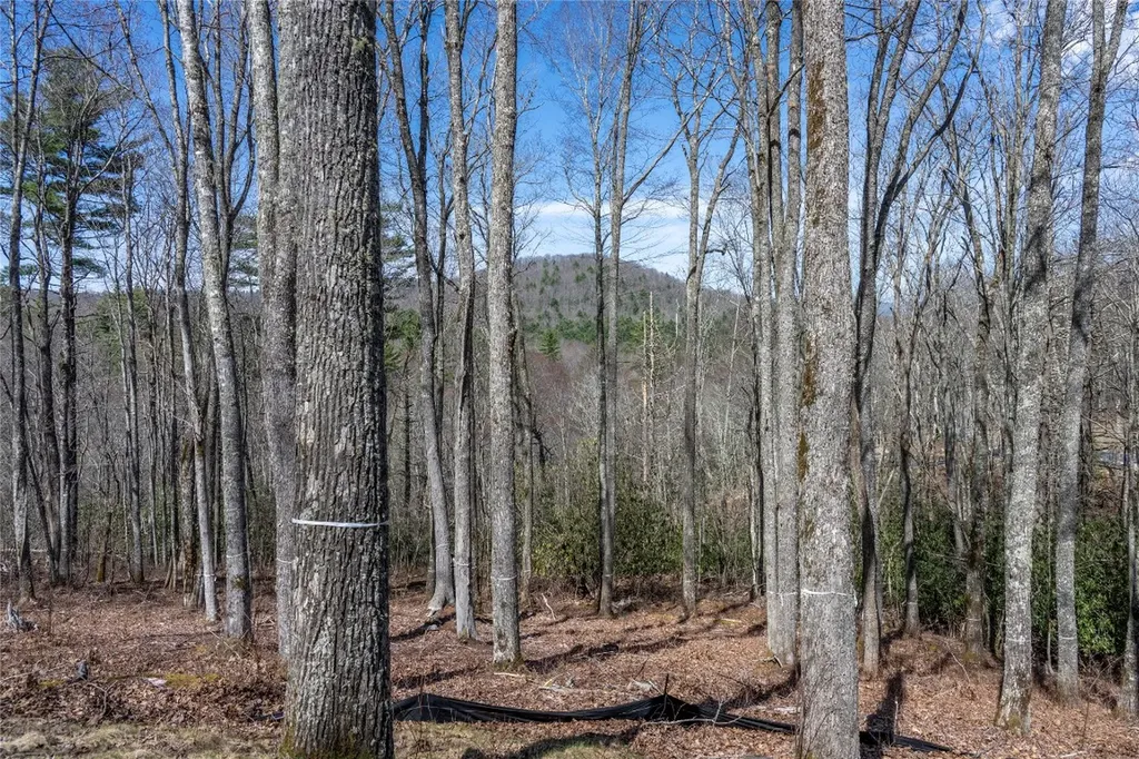 C20 Roaming Road Glenville NC 28736