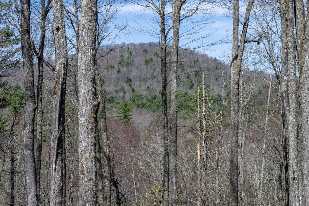 C20 Roaming Road Glenville NC 28736