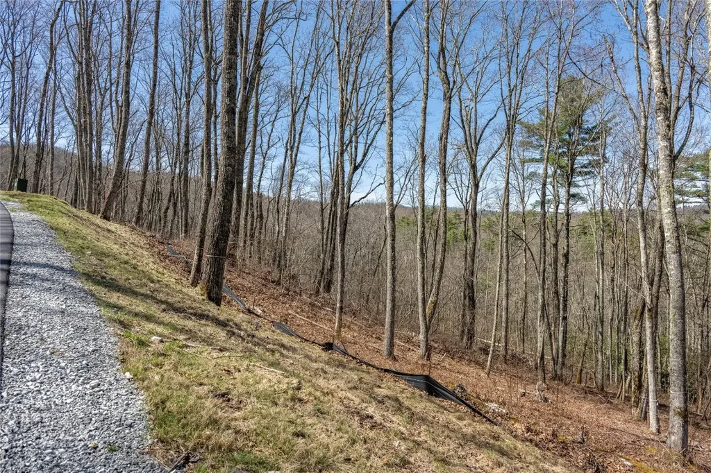 C20 Roaming Road Glenville NC 28736