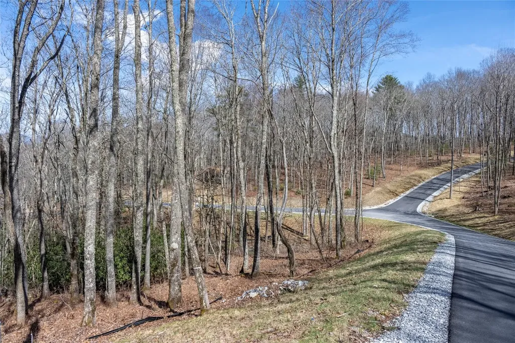 C20 Roaming Road Glenville NC 28736