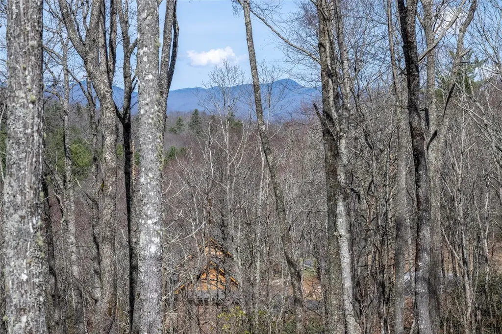 C20 Roaming Road Glenville NC 28736