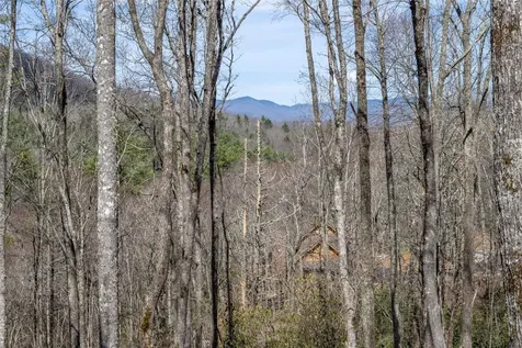 C20 Roaming Road Glenville NC 28736