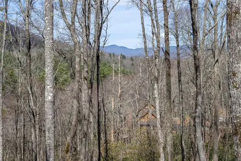 C20 Roaming Road Glenville NC 28736