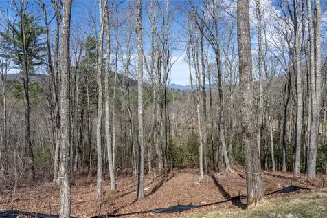 C20 Roaming Road Glenville NC 28736
