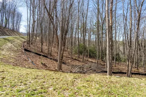 C20 Roaming Road Glenville NC 28736