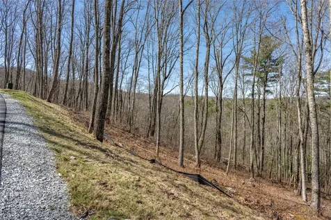 C20 Roaming Road Glenville NC 28736