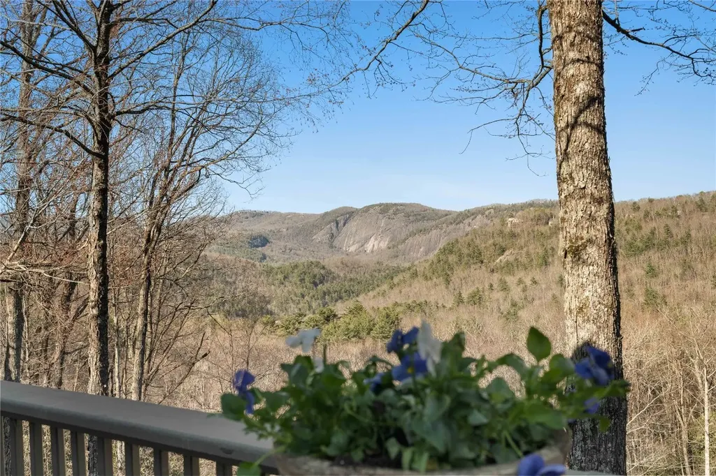 170 Old Hunters Run Cashiers NC 28717