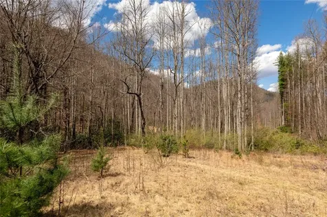 1641 White Rock Road Cullowhee NC 28723