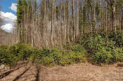 1641 White Rock Road Cullowhee NC 28723