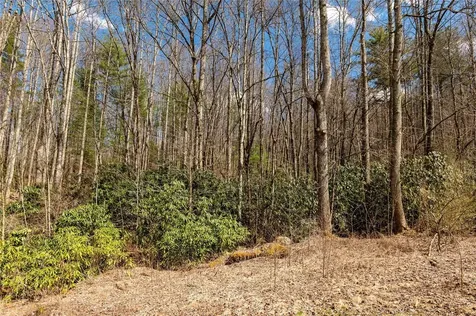 1641 White Rock Road Cullowhee NC 28723