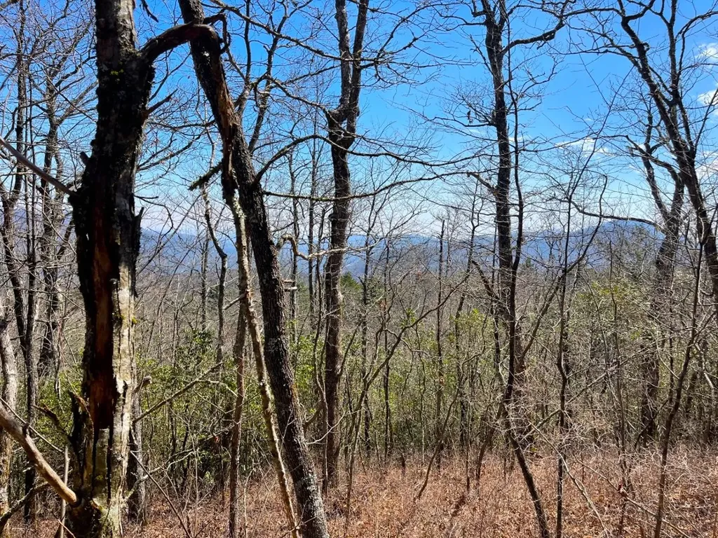 Lot 2 Treasurewood Road Glenville NC 28736