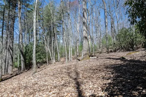 Lot 13 Climbers Spur Sapphire NC 28774