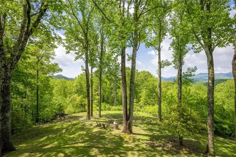 25 Hurrah Ridge Scaly Mountain NC 28775