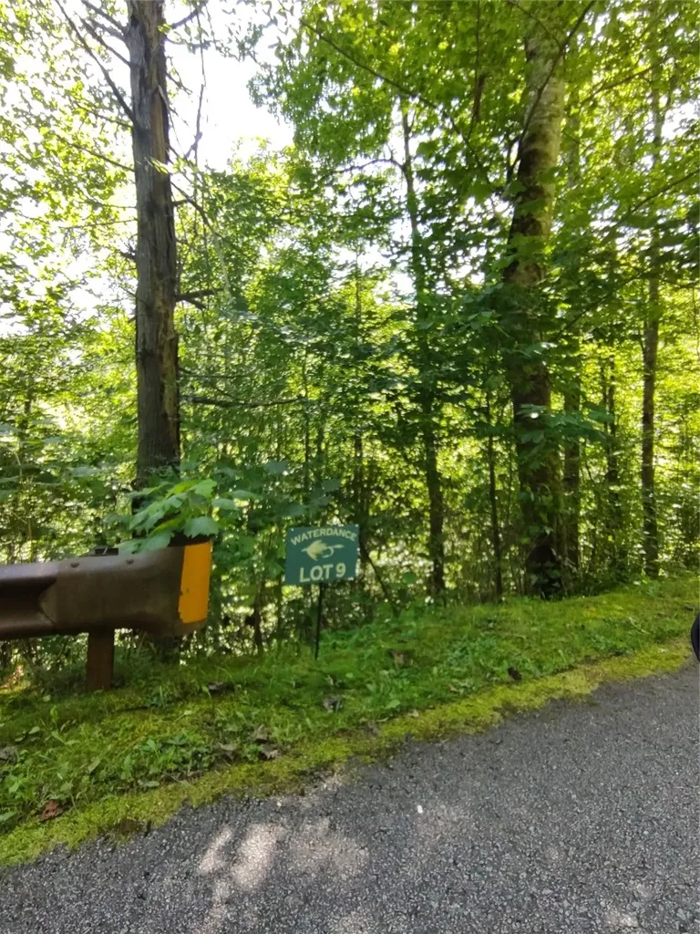 78, 79 Royal Wulff Drive Cullowhee NC 28723