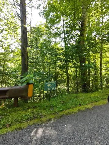 78, 79 Royal Wulff Drive Cullowhee NC 28723