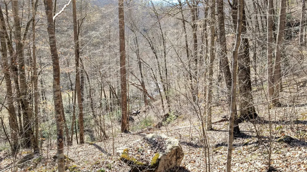 8 & 9 Waterdance Drive Tuckasegee NC 28783