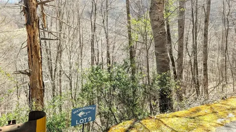 8 & 9 Waterdance Drive Tuckasegee NC 28783