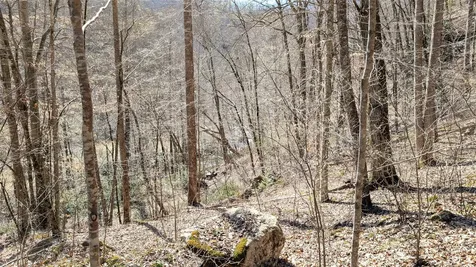 8 & 9 Waterdance Drive Tuckasegee NC 28783