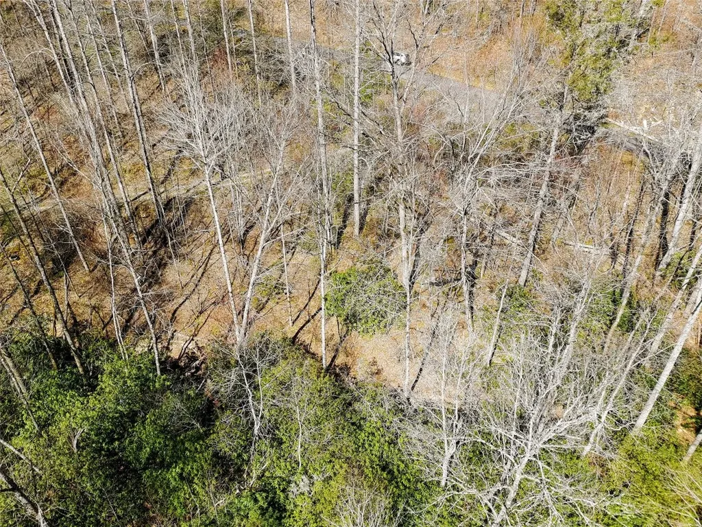 229 Waterdance Drive Cullowhee NC 28723