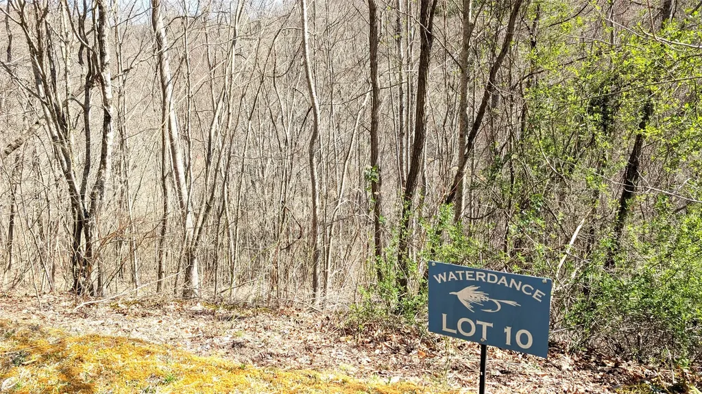 10 Hot Creek Lane Tuckasegee NC 28783