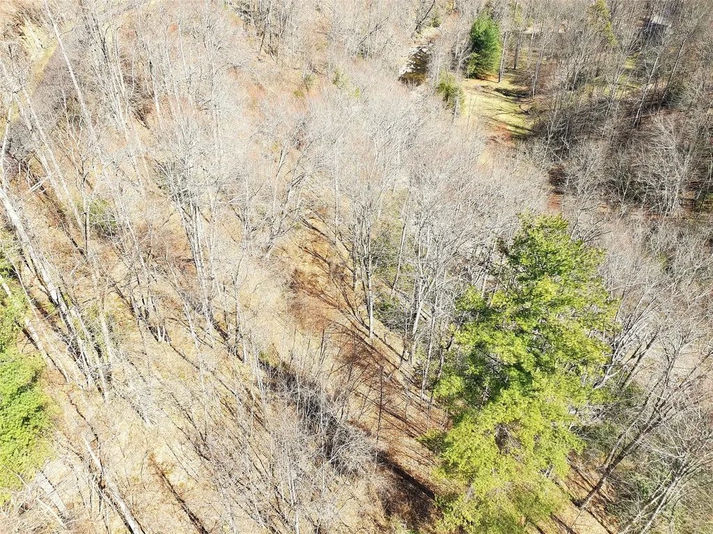 10 Hot Creek Lane Tuckasegee NC 28783