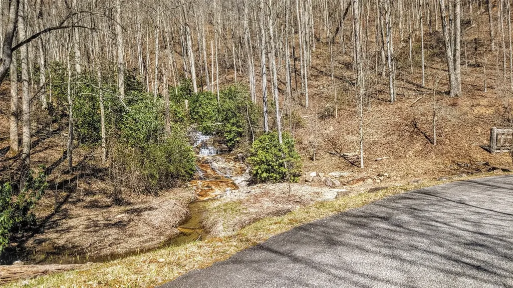 10 Hot Creek Lane Tuckasegee NC 28783