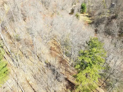 10 Hot Creek Lane Tuckasegee NC 28783
