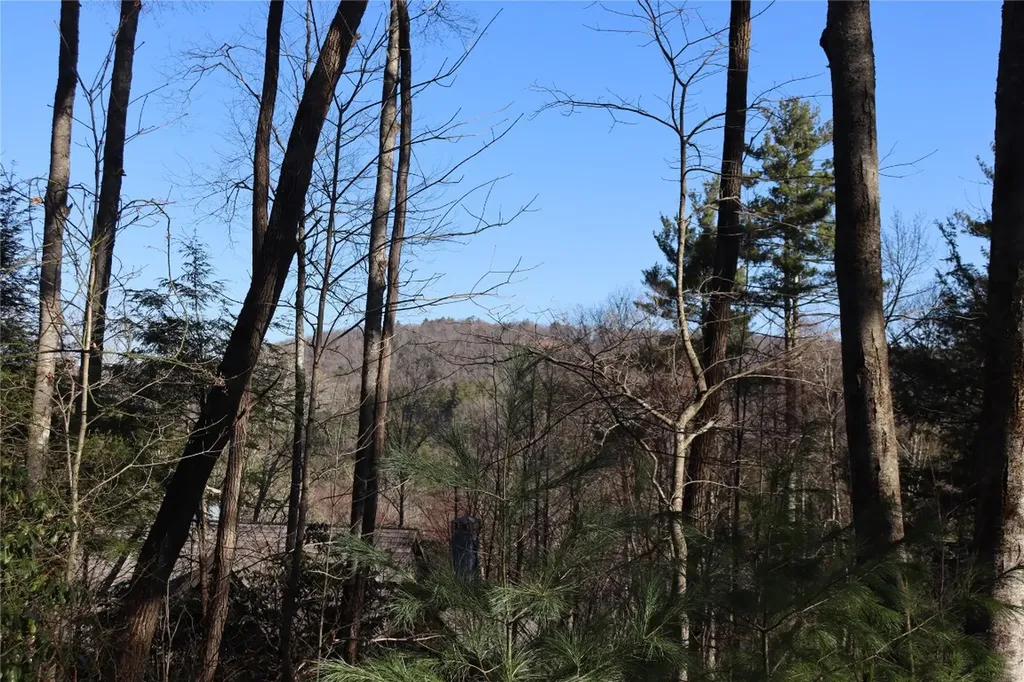 Lt 124 Hawks Ledge Highlands NC 28741