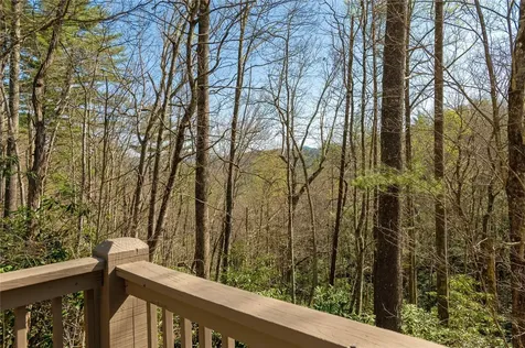6045 Whiteside Cove Road Cashiers NC 28717