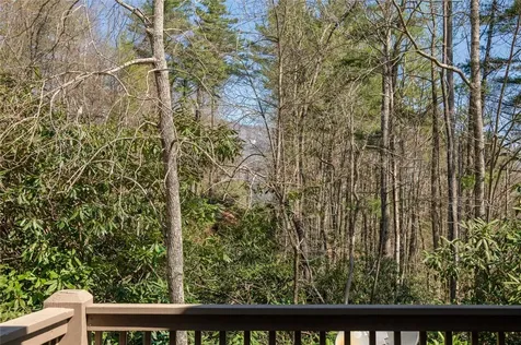 6045 Whiteside Cove Road Cashiers NC 28717