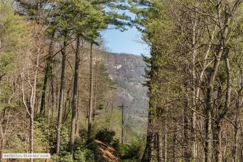 6045 Whiteside Cove Road Cashiers NC 28717