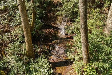 6045 Whiteside Cove Road Cashiers NC 28717