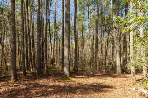 6045 Whiteside Cove Road Cashiers NC 28717