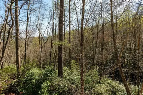 6045 Whiteside Cove Road Cashiers NC 28717